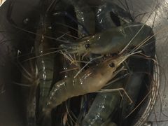 -星伦多 自助料理(圆融店)