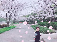 -新江湾城公园