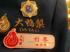-大鸭梨烤鸭店(光彩店)