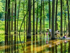 -汉水公园