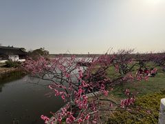 -上海海湾国家森林公园