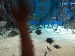 -福州罗源湾海洋世界旅游区