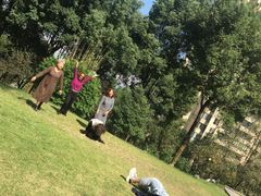 -重庆市江北嘴中央商务区中央公园