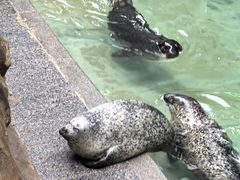 -蓬莱欧乐堡海洋极地世界