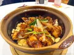 -新雅粤菜馆(南京东路店)