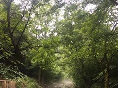 -水墨汀溪风景区