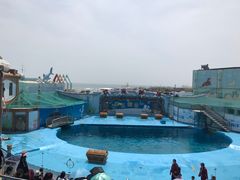 -海合安青岛极地海洋公园