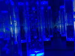-梦幻海洋王国(吾悦广场张家港店)