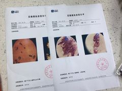 -宠颐生宠物医院·心肾内科·猫专科诊疗中心宠巢店