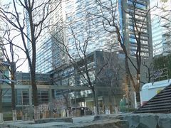 -Plush大堂酒廊(北京金融街威斯汀大酒店)