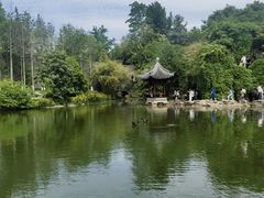 -水绘园