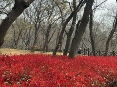 -南京市江宁方山