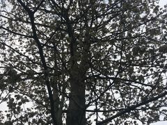 -中国沉香文化博物馆