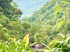 -海南热带雨林国家公园吊罗山景区
