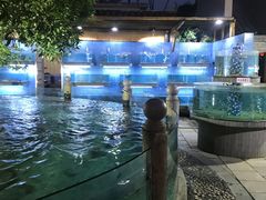 -天怡·鱼工厂(临江店)