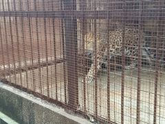 -昆明动物园