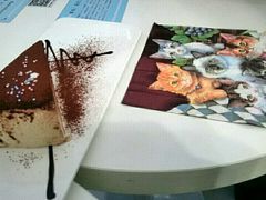 -喵的天空名猫咖啡馆·撸猫·猫舍·用品