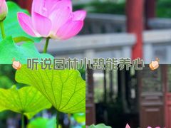-南园(太仓市)