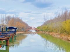 -黄海国家森林公园