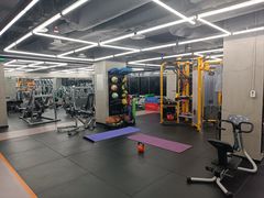 -健身专家Wellness Experts