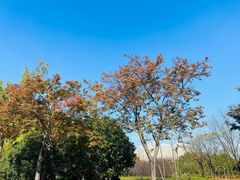 -白塘生态植物园