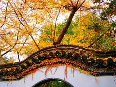 -汇龙潭
