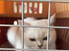 -宠颐生中康贝怡动物医院