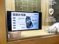 -首开·龙湖成都西宸天街