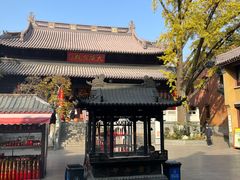 -灵谷景区
