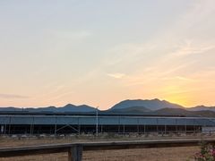 -君乐宝优致牧场