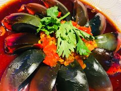 -96农蝎虾(江桥老街店)