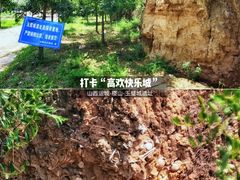 -永乐宫