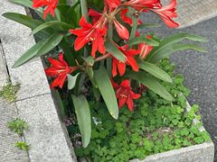 -钱塘江