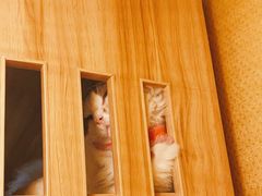 -白兔子密室(长寿路店)