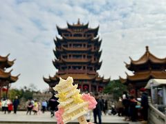 -黄鹤楼公园(黄鹤楼)