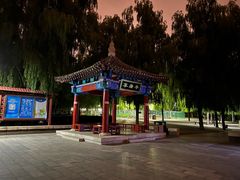 -莲花池公园