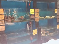水产区-桃源青花时尚餐厅(金钟广场店)