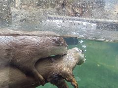 -香港海洋公园