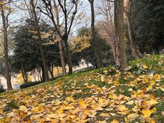 -四川科技馆