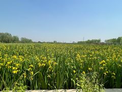 -永定河休闲森林公园