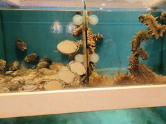 -鲜鲜·鲅鱼圈海鲜(于洪店)