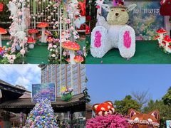-灵玲国际马戏城