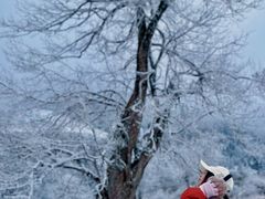 -硗碛藏寨·神木垒景区
