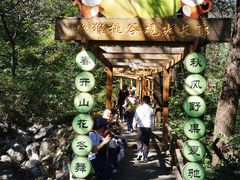 -大岭沟猕猴桃谷风景区