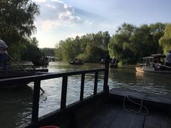 -溱湖国家湿地公园