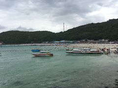 -月光岛