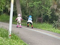 -白鹭湾湿地公园