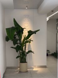 -魔型社烫染店