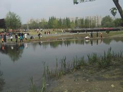-两河城市森林公园
