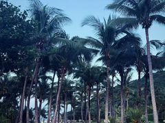 -三亚太阳湾柏悦酒店